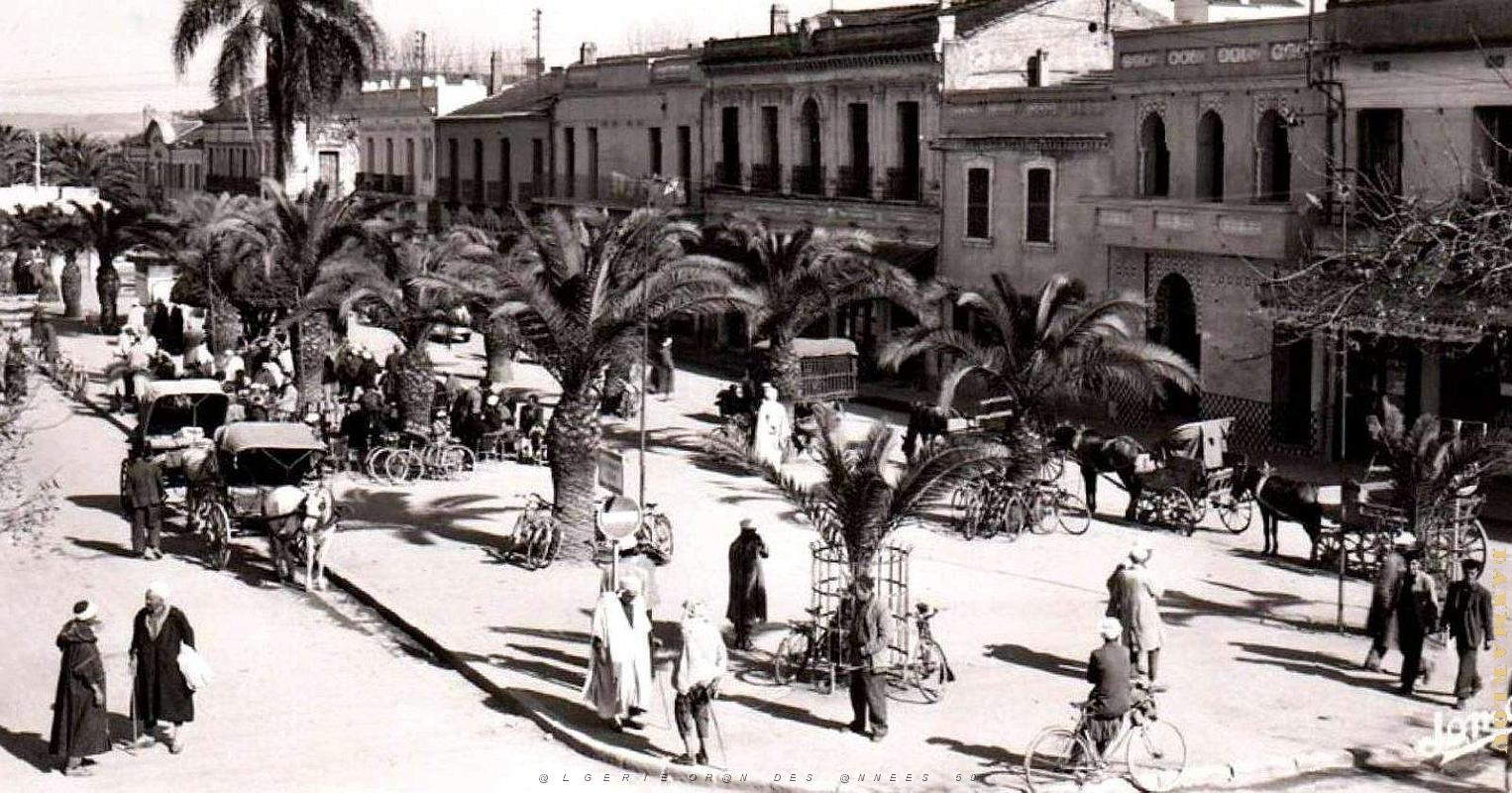 2615- Boufarik - Boulevard Polycarpe Gros2.jpg